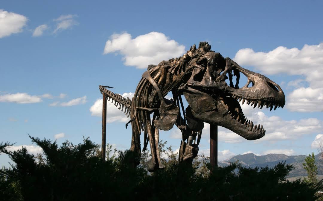 Museum of the Rockies