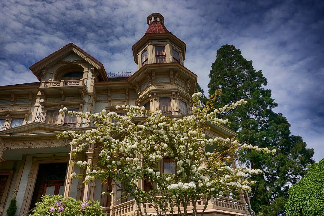 Flavel House Museum
