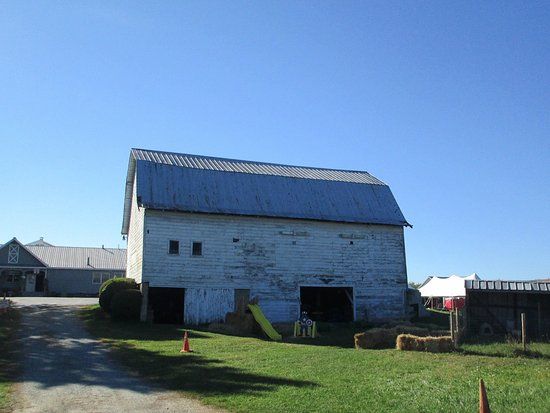 Goold Orchards