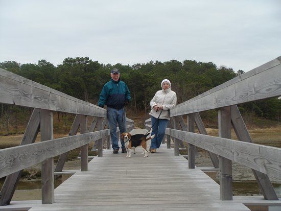 Uncle Tim's Bridge