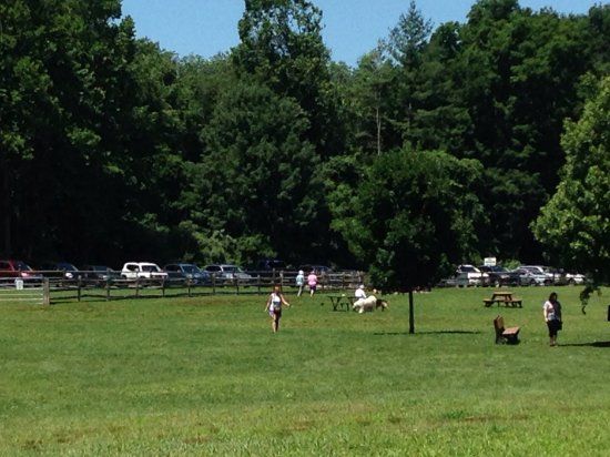 Southbury Dog Park