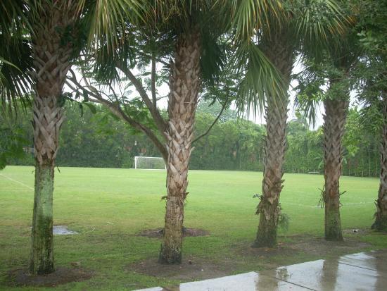 Flagler Grove Park