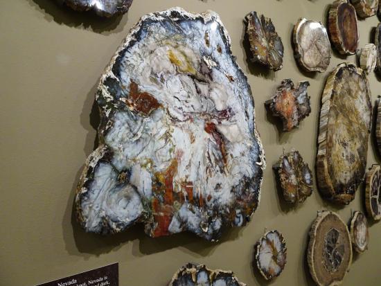 The Zuhl Museum