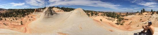 White Domes