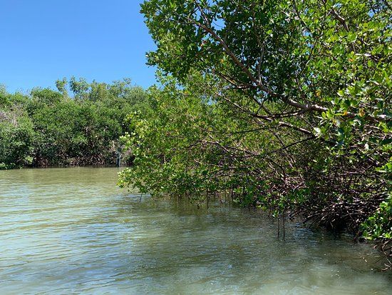 Mound Key Archaeological State Park