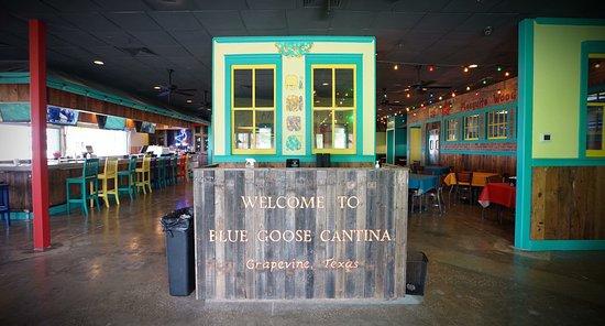 Blue Goose Cantina