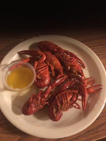 Catfish Ranch