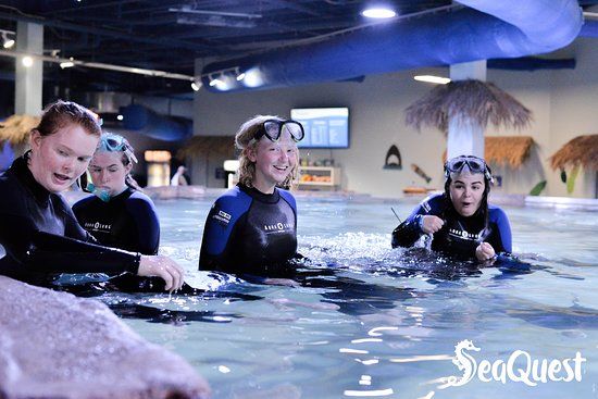 SeaQuest Folsom