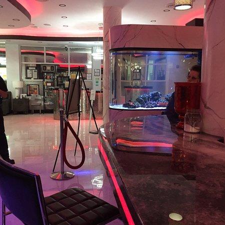 Oliviers Hideaway at Streamline Hotel