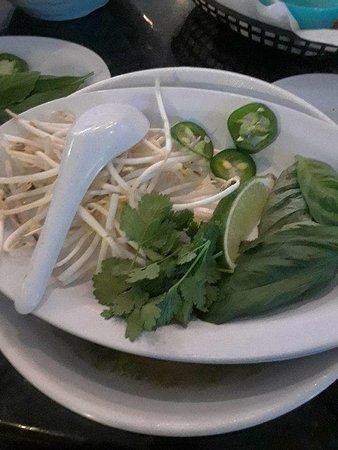 Noodle 21