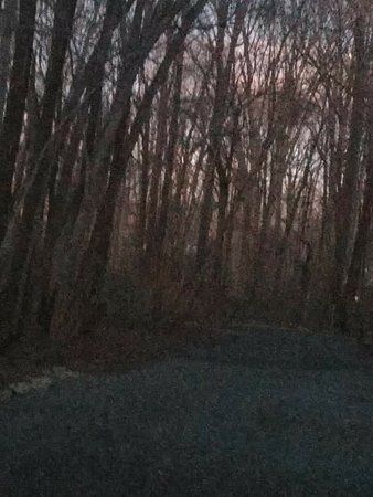 Lake Accotink Trail