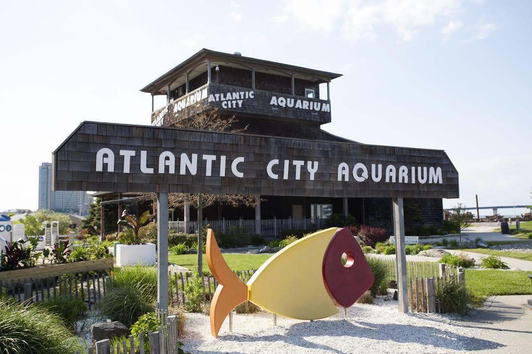 Atlantic City Aquarium
