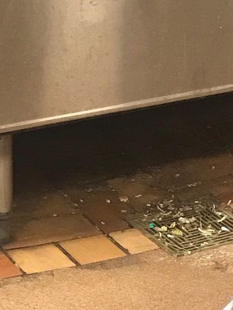 Waffle House