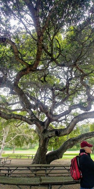 Toro County Park