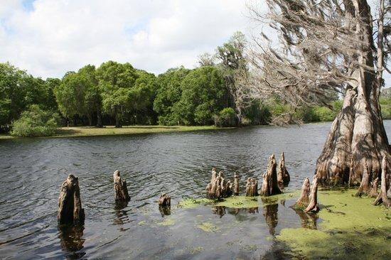 Lettuce Lake Regional Park
