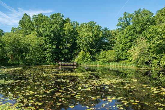 Ellanor C Lawrence Park