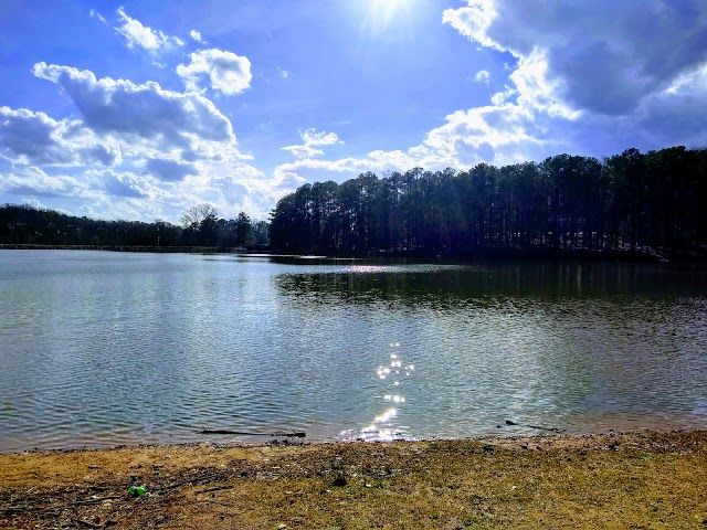 Murphey Candler Park