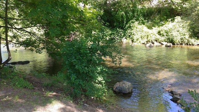 Pine Hill Park