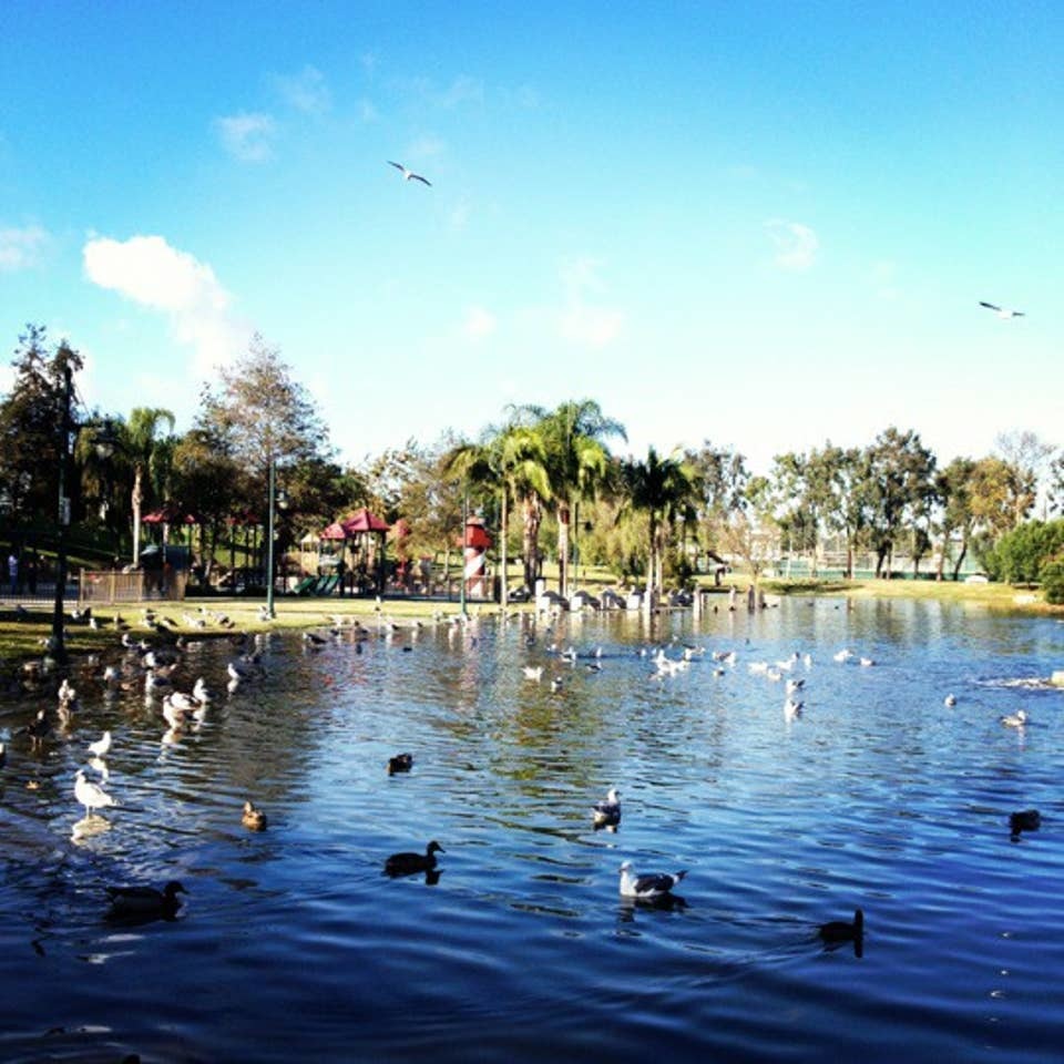 Polliwog Park