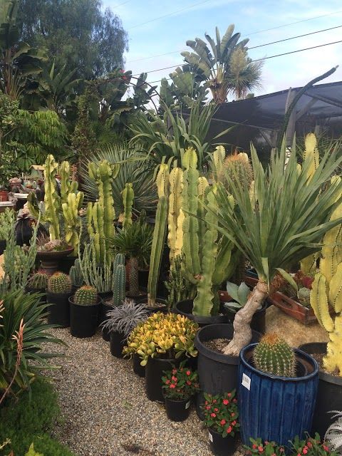 Gardens By The Sea Nursery