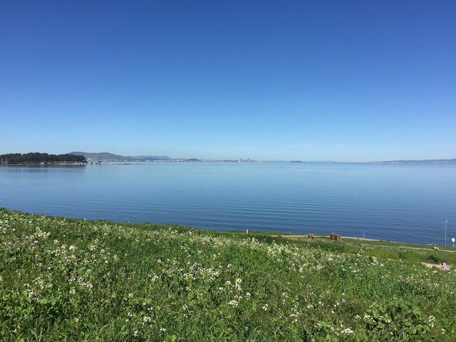 Seal Point Park