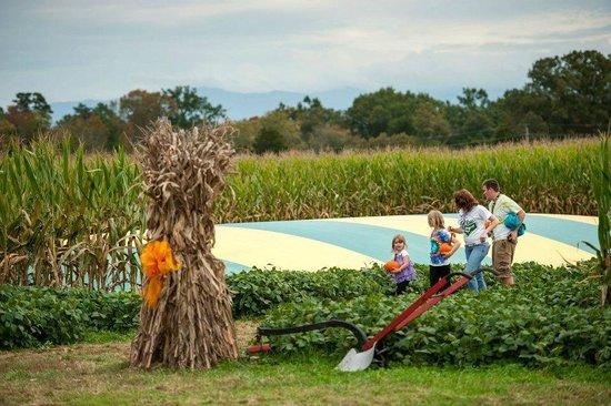 Kyker Farms Corn Maze