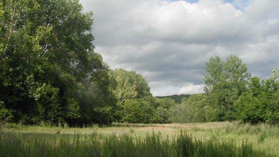 Al Foster Memorial Trail