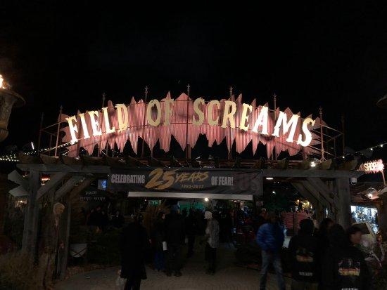 Field of Screams