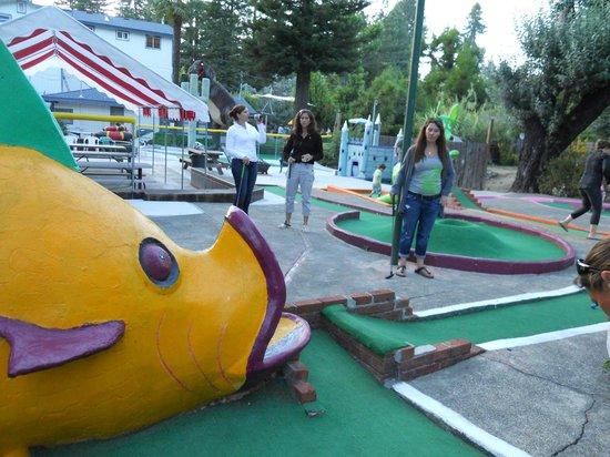Pee Wee Golf and Arcade