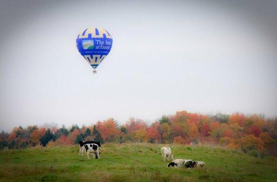 Above Reality Inc. Hot Air Balloon Rides