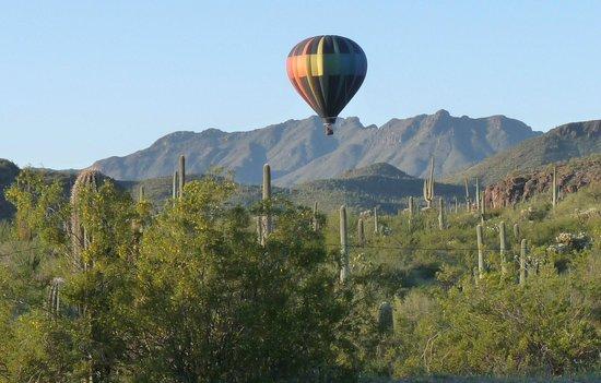 Fleur de Tucson Hot Air Balloon Rides