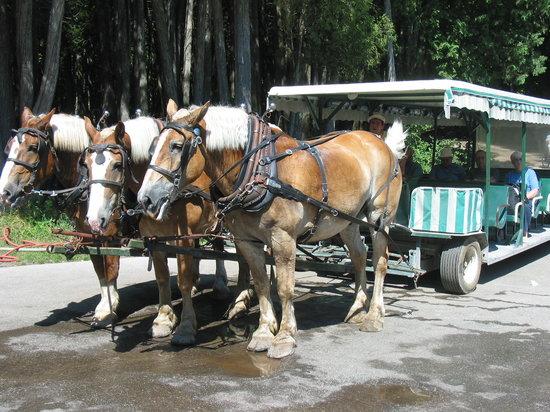 Mackinac Island Carriage Tours