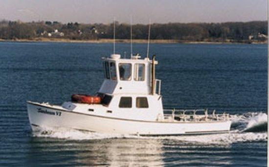 Sunbeam Fleet