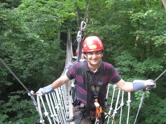 Tree Frog Canopy Tours Zipline