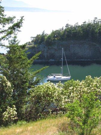 NW Sailing Adventures