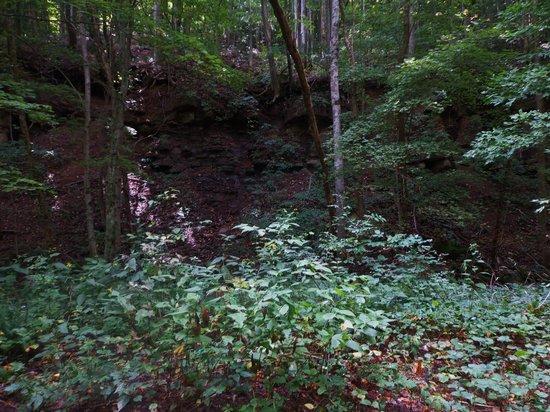 Coal Creek Motor Discovery Trail