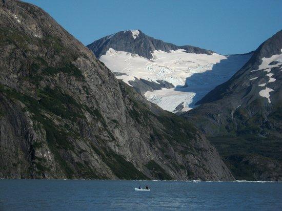 Alaskan Leopard Comedy Tours