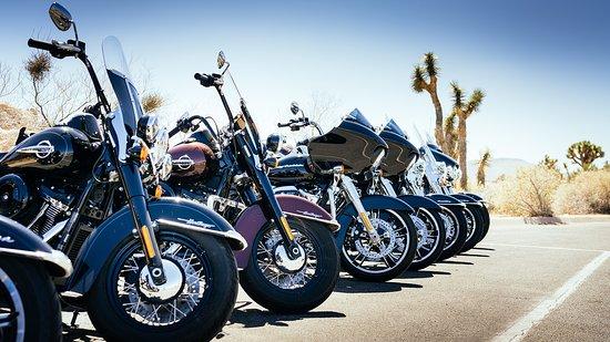 EagleRider Motorcycle Rentals and Tours