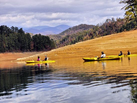PaddleFish Kayaking - Private Day Trips