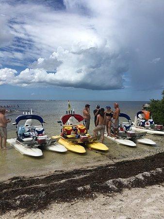 Crazy Cat Boat Tours