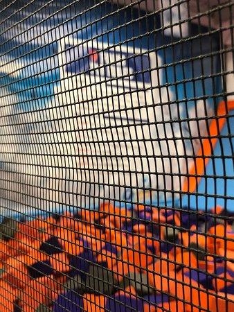 Air Trampoline Sports