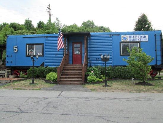 Blue Toad Hard Cider Tasting Room & Cider Pub