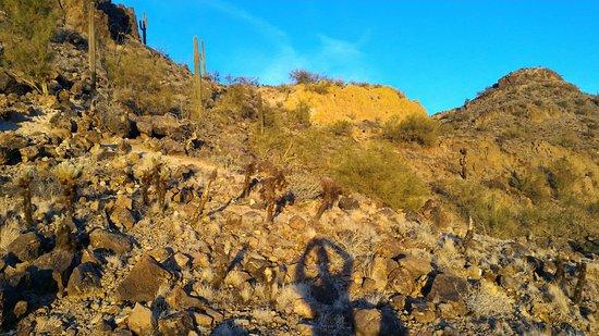 West Wing Mountain Preserve