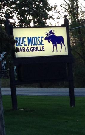 The Blue Moose Bar & Grille