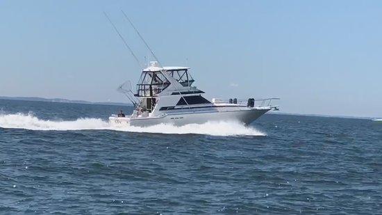 Eden Charters