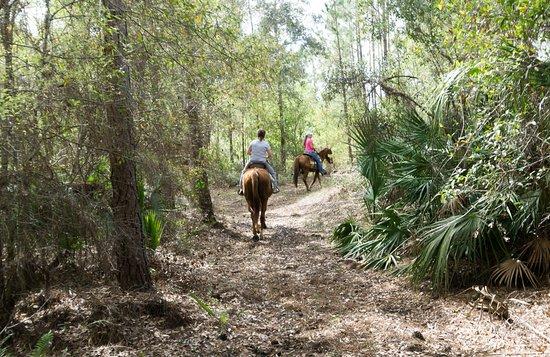 Horsing Around Ranch