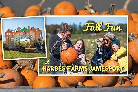Harbes Farms Jamesport