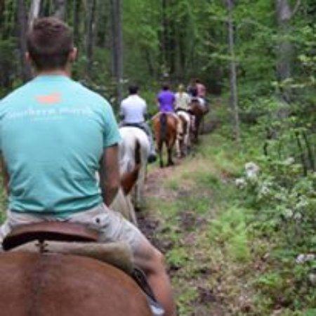 Mountain Laurel Riding Stable
