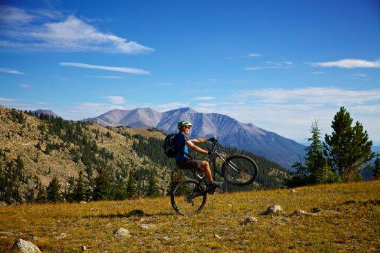 PEDAL Mountain Bike Adventures