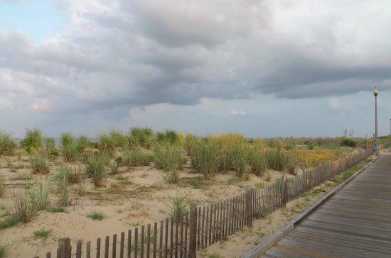 Dune Nature Park